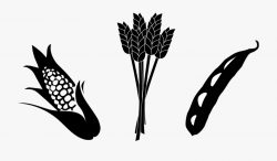Stalk Clipart Real Corn - Crops Clipart Black And White ...