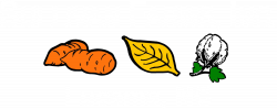 Sullivan Farms