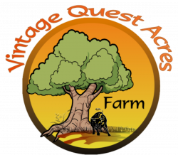 Vintage Quest Acres – Powered by Nature LLC