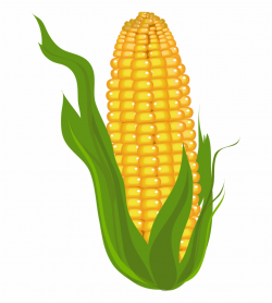 Cliparts For Free - Clipart Corn Free PNG Images & Clipart ...
