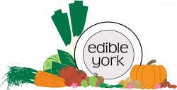 Edible York York Community Growing Projects