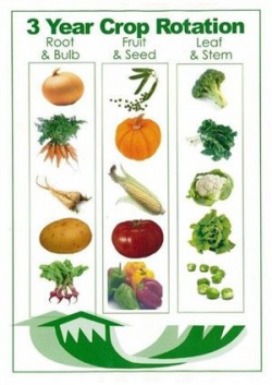 Crop rotation with related article. | gardening | Garden ...