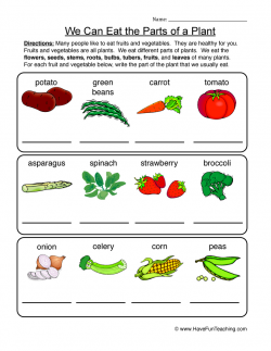Edible Parts of a Plant Worksheet | Have Fun Teaching