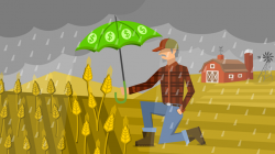 Crop insurance: Helping farmers, but not without ...
