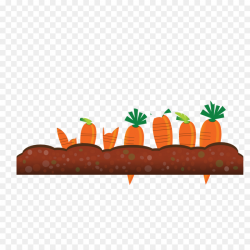 Carrot Cartoon clipart - Carrot, Food, Rectangle ...