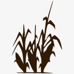 Corn Clipart Harvesting Crop #71315 - Free Cliparts on ...