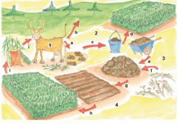 Free Drawn Farm mixed farming, Download Free Clip Art on ...