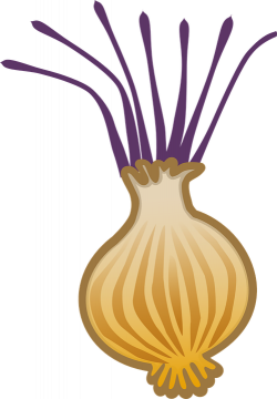 Onion Clipart root crop - Free Clipart on Dumielauxepices.net