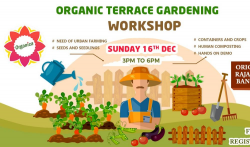 Organic Terrace Gardening Workshop @Orion Mall. at ...