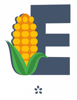 Golden Bantam Corn Seeds – The Mauro Seed Company
