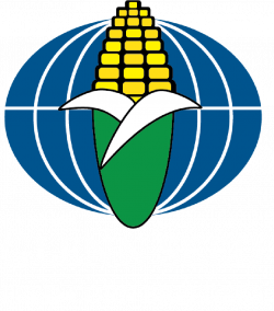 Plant Population — Glenn Seed Ltd.