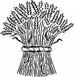 Sheaves of Wheat Coloring Page | Books! | Clip art, Art ...
