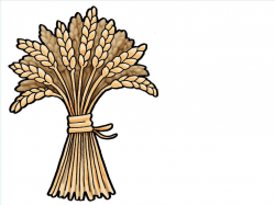 Sheaf of wheat. – Slide 6 | Ruth and Naomi | Bible stories ...