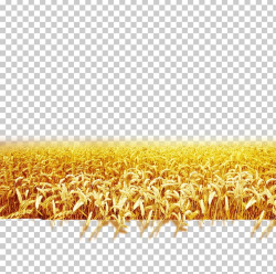 Wheat Landscape PNG, Clipart, Adobe Illustrator, Agriculture ...