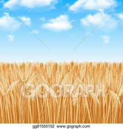 Vector Illustration - Wheat field background. Stock Clip Art ...
