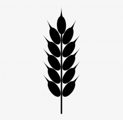 Grain Wheat Crop - Grain Clipart - Free Transparent PNG ...
