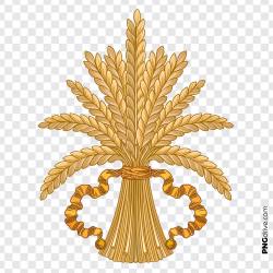 Clipart Wheat Crop Grain Vector PNG Image - PNG drive