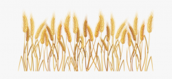Wheat Field Transparent Background #1573964 - Free Cliparts ...