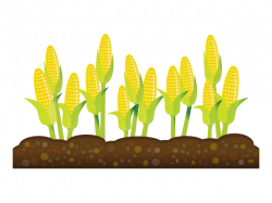 Growing Crops Cliparts Free Download Clip Art - carwad.net