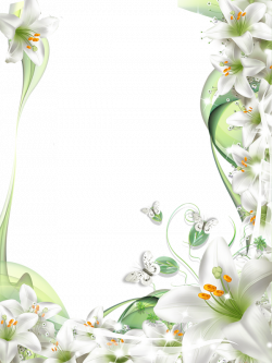 Transparent PNG Photo Frame with White Lilies Flowers | Wallpapers ...