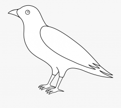 Crow Clip Art - Crow Clipart Black And White Outline #296472 ...