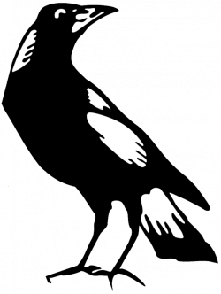 Parkside Football Club (WRFL) - Wikiwand