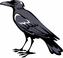 raven/crow | heraldic creatures | Pinterest | Arms