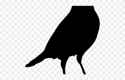 Crow Clipart Blackbird - Png Download (#2665212) - PinClipart