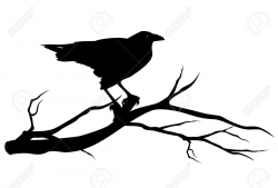 Crow Stock Vector Illustration And Royalty Free Crow Clipart ...