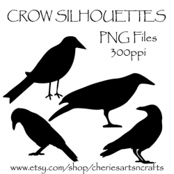 Crow Silhouettes, Crow Clipart, Clip Art, Birds, Black Crows Graphics,  Silhouettes, PNG Graphics, Crow Clip Art Kit, Black Bird Clipart