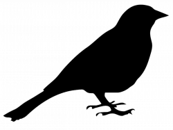 Silhouette Of A Sparrow at GetDrawings.com | Free for personal use ...