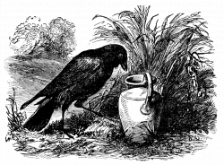 The Crow and the Pitcher: a New Twist on an Old Fable
