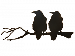 Ravens Silhouette at GetDrawings.com | Free for personal use Ravens ...