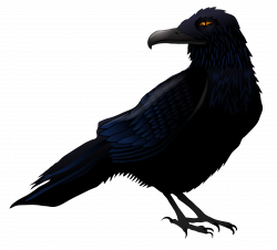 Raven Bird Clipart | Free download best Raven Bird Clipart on ...