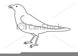 Crow Clipart Drawing | Free Images at Clker.com - vector ...