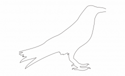 Crow Clipart Easy Draw - Line Art - the crow png, Free PNG ...