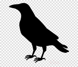Bird Silhouette clipart - Bird, Illustration, Silhouette ...