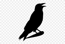 Crow Clipart Halloween - Crow Head Clipart Black And White ...