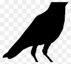 Crow Clipart Crow Head - Black Crow Bird Printable - Png ...