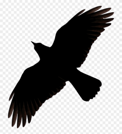 Flying Crow Raven Clip Art - Raven Flying Silhouette - Png ...