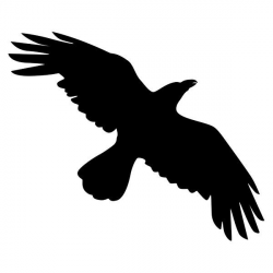 Silhouette Crow: Flying Crow black on white | tattoos | Crow ...