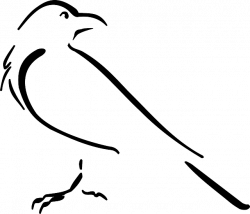Free Image on Pixabay - Crow, Bird, Outline, Drawing | Pinterest ...