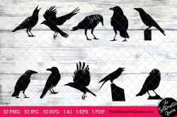 Crow Silhouettes Clipart Clip Art(AI, EPS, SVGs, JPGs, PNGs, PDF) , Crow  Clip Art Clipart Vectors - Commercial and Personal Use