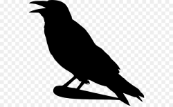 Free Crow Silhouette Images, Download Free Clip Art, Free ...