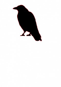 Crow - BClipart