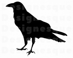 Raven Silhouette #2 SVG, Crow SVG, Raven SVG, Raven Clipart, Raven Files  for Cricut, Raven Cut Files For Silhouette, Raven Dxf, Png, Eps