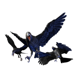 Image - Cr crow.png | Resident Evil Wiki | FANDOM powered by Wikia