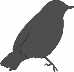 Gray Bird Clip Art at Clker.com - vector clip art online, royalty ...