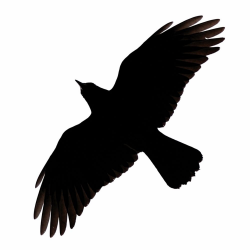 Crow Silhouette Clipart Best | tats | Crow silhouette ...