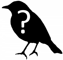 Ask An Ornithologist